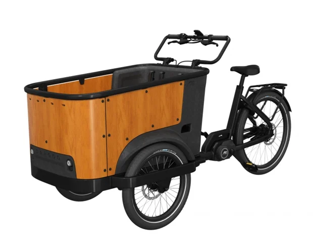 Cangoo Buckle Up - Afbeelding 5