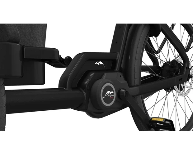 Cangoo Buckle Up - Afbeelding 4