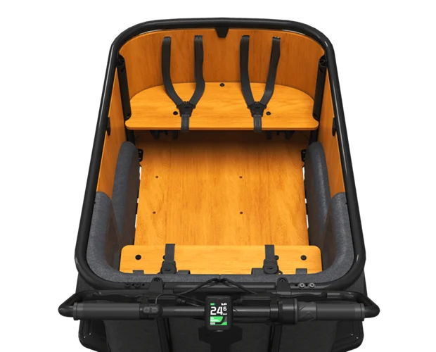 Cangoo Buckle Up - Afbeelding 2