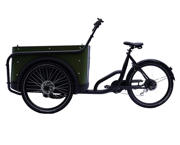 Royal Cargo Bike 3W Eco - Groen - Afbeelding 3