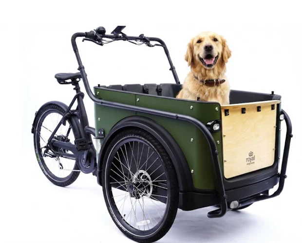 Royal Cargo Bike 3W Eco - Groen - Afbeelding 6