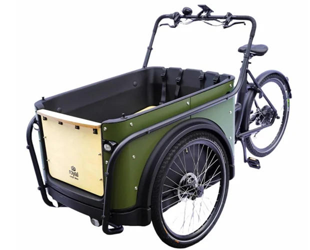 Royal Cargo Bike 3W Eco - Groen - Afbeelding 7